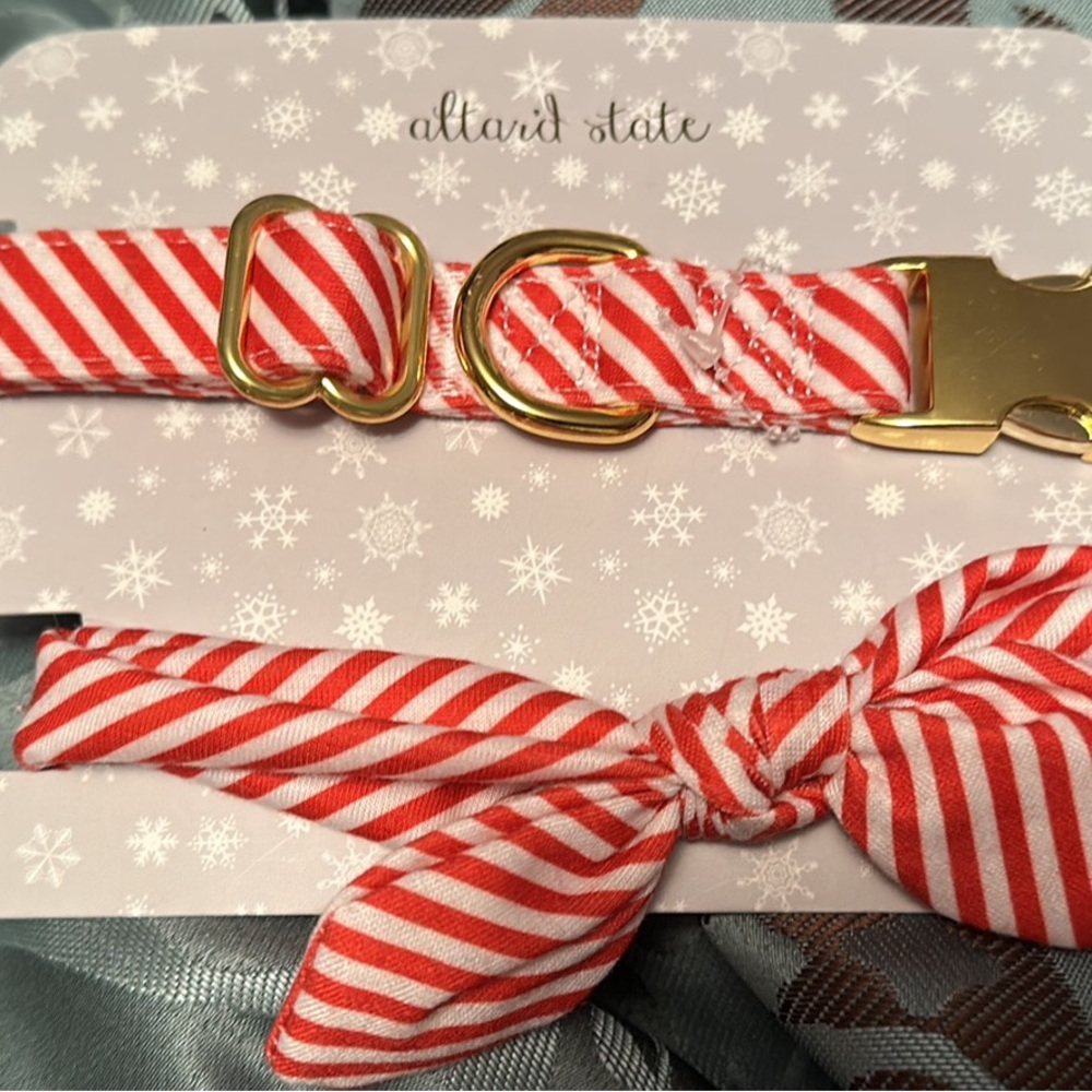 Altard State dog collar set